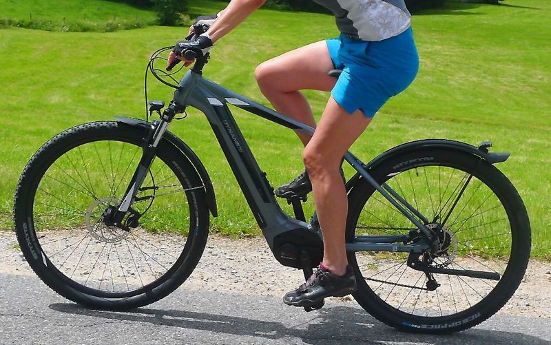 Gebrauchtes Dynamics E-Lightning 6 2021 MTB