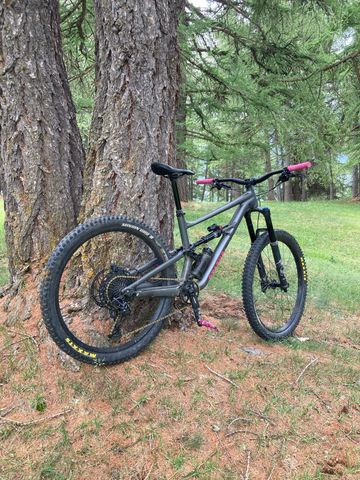 Used Specialized Status 160 2021 2021 Mountainbike, Light Gray, 29, 27.5 — image 3 of 5