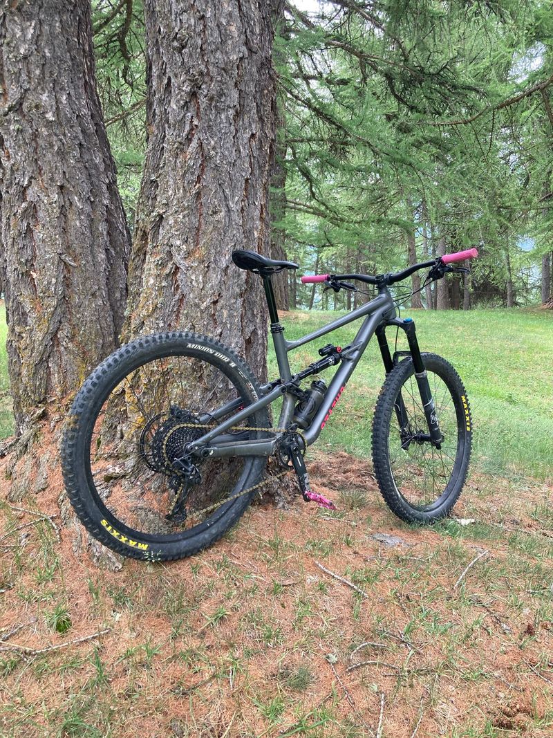 Used Specialized Status 160 2021 2021 Mountainbike, Light Gray, 29, 27.5 — image 3 of 5