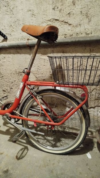 Gebrauchtes Capriolo Custom Youth, Rot — Bild 5 von 6
