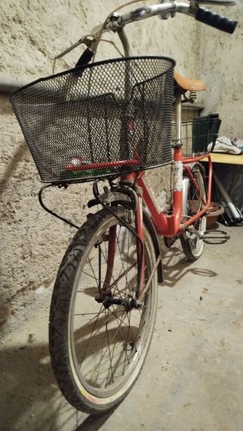 Gebrauchtes Capriolo Custom Youth, Rot — Bild 6 von 6