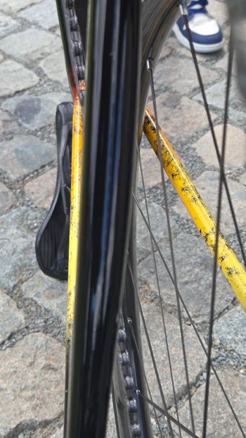 Gebrauchtes Specialized Tarmac Frameset 2023 Road & Gravel, Schwarz — Bild 10 von 10