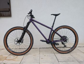 Brugt Stanton Switch9er Steel 2025 2025 Mountainbike — billede 8 af 11