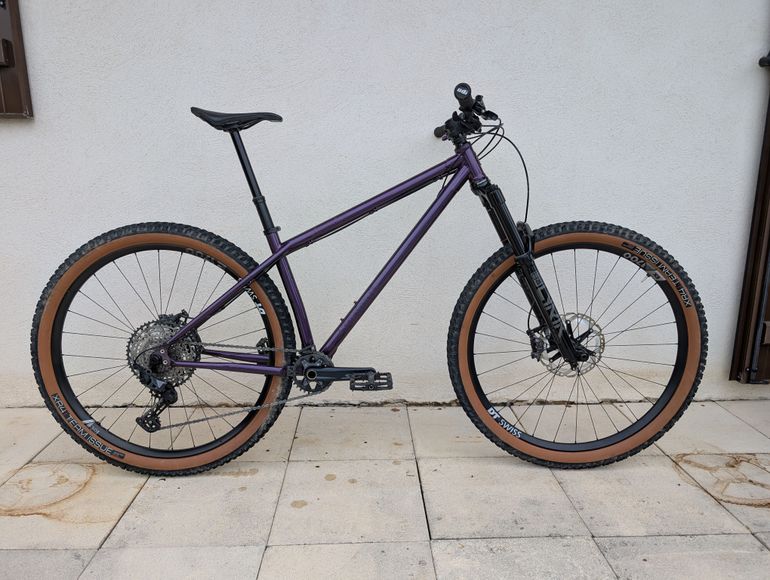 Brugt Stanton Switch9er Steel 2025 2025 Mountainbike — billede 1 af 11