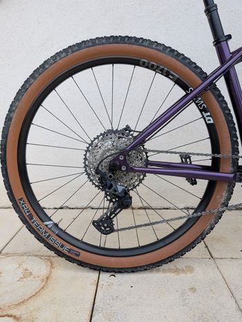 Brugt Stanton Switch9er Steel 2025 2025 Mountainbike — billede 2 af 11