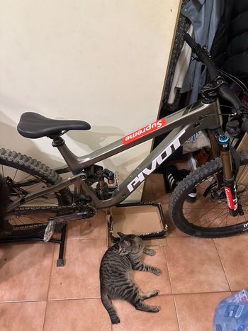 Pivot Firebird SRAM GX Eagle AXS 2024 Mountainbike d'occasion — image 7 sur 11