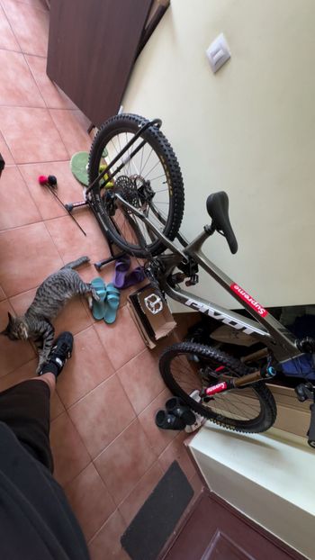 Pivot Firebird SRAM GX Eagle AXS 2024 Mountainbike d'occasion — image 6 sur 11