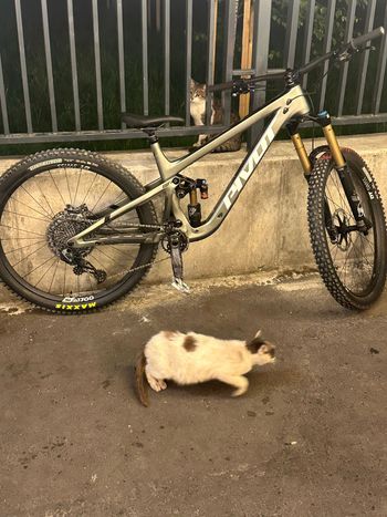 Pivot Firebird SRAM GX Eagle AXS 2024 Mountainbike d'occasion — image 11 sur 11