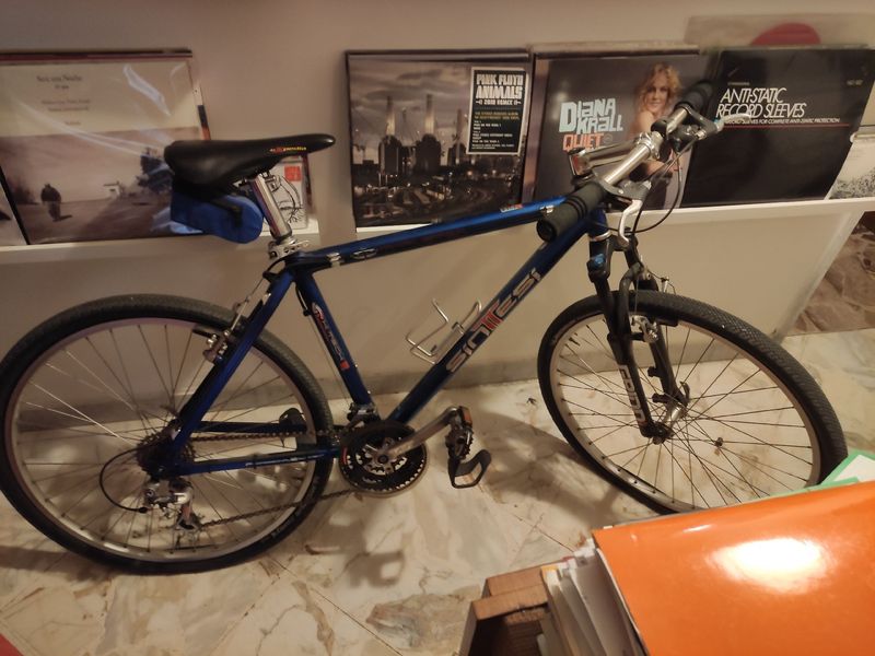 Used Sintesi Custom Shimano Alivio 1998 MTB
