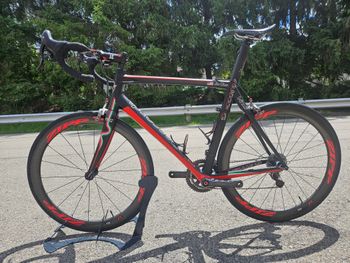 Used Daccordi Vina 2022 Road & Gravel