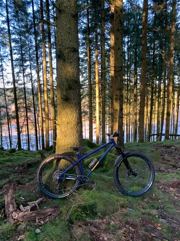 Käytetty marino Custom Frameset 2024 Mountainbike — kuva 2 / 3