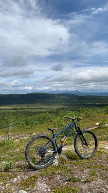 Tweedehands marino Custom Frameset 2024 MTB
