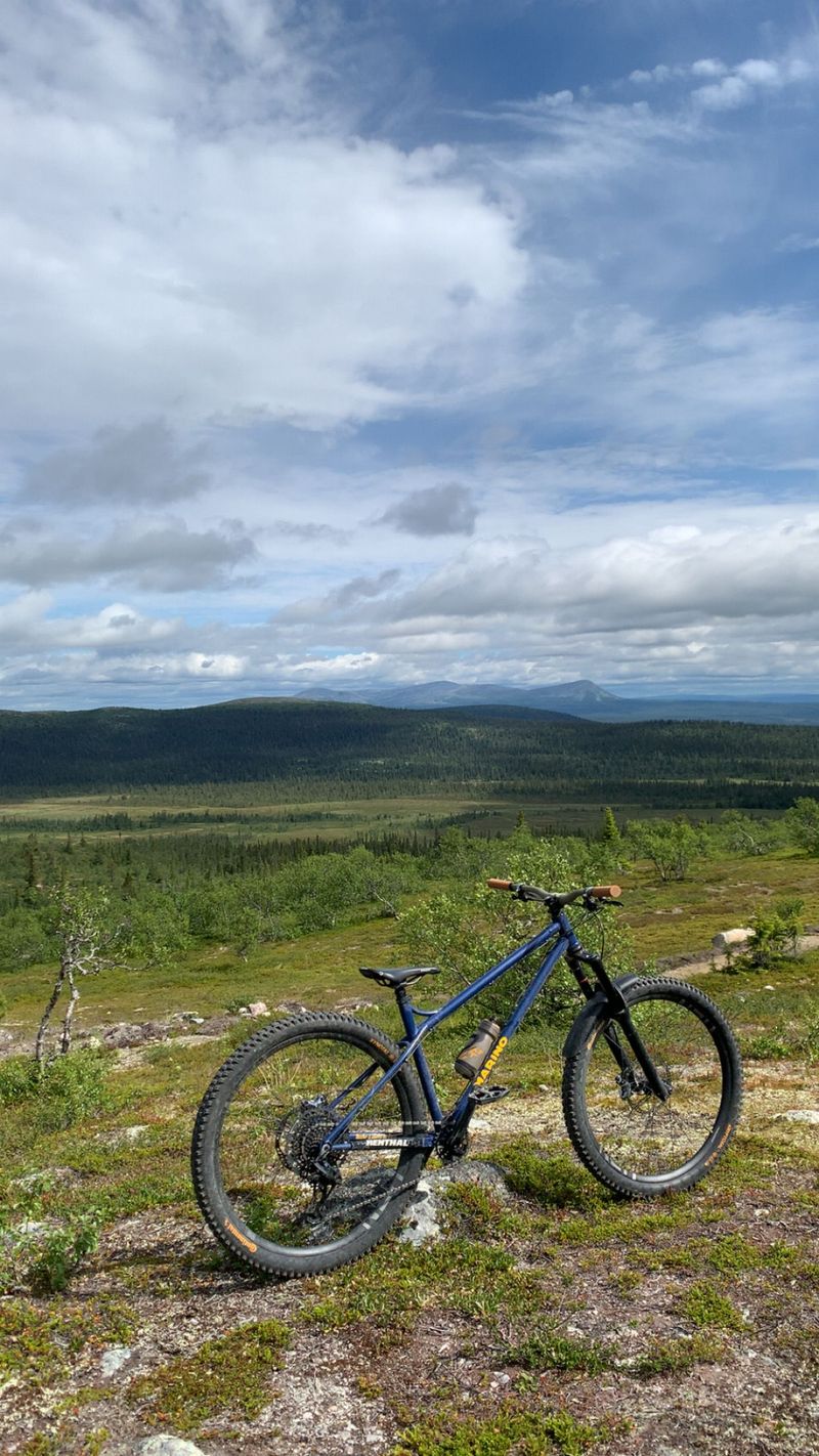 Tweedehands marino Custom Frameset 2024 MTB