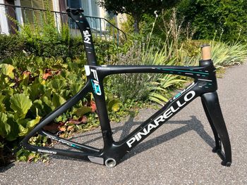 Tweedehands Pinarello Dogma F10 Xlight Frameset Frameset 2018 Road & Gravel