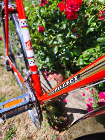 Peugeot PLX8 1973 1973 Road & Gravel usato, Rosso — immagine 4 di 27