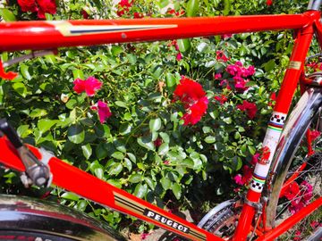 Peugeot PLX8 1973 1973 Road & Gravel usato, Rosso — immagine 7 di 27