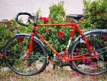 Peugeot PLX8 1973 1973 Road & Gravel de segunda mano