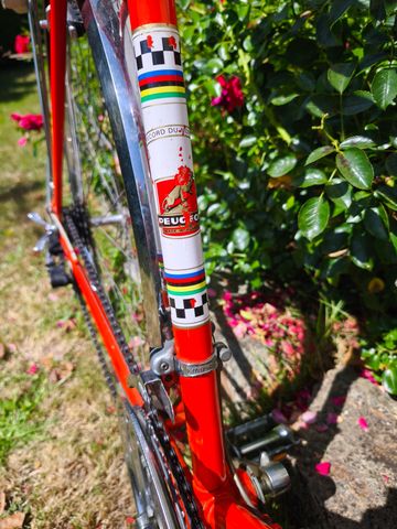 Peugeot PLX8 1973 1973 Road & Gravel usato, Rosso — immagine 20 di 27