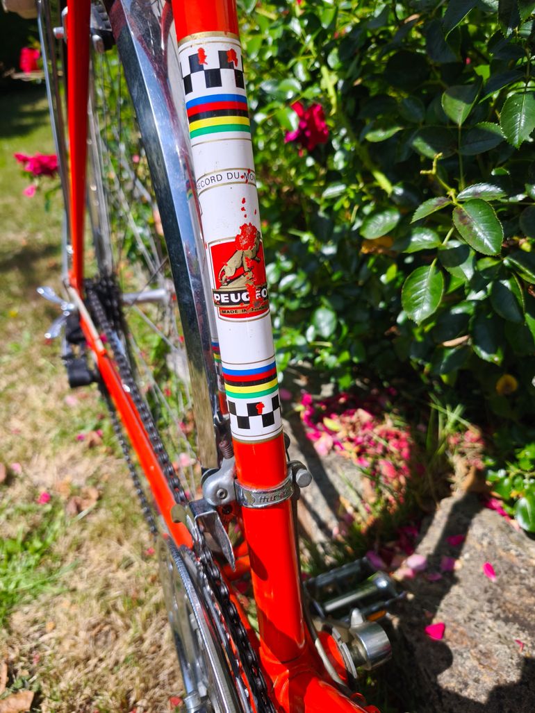 Peugeot PLX8 1973 1973 Road & Gravel usato, Rosso — immagine 20 di 27