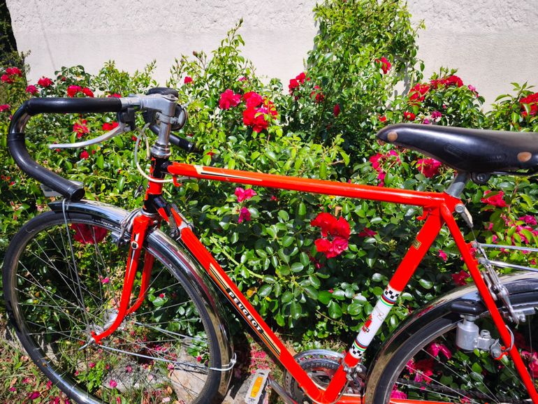Peugeot PLX8 1973 1973 Road & Gravel usato, Rosso — immagine 13 di 27