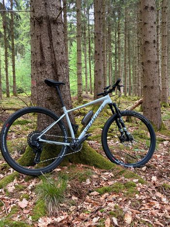 Used Specialized Chisel Hardtail 2026 2026 MTB