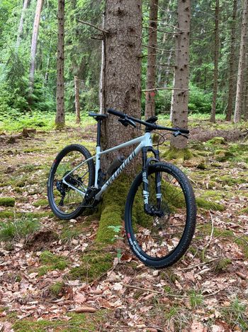 Gebrauchtes Specialized Chisel Hardtail 2026 2026 Mountainbike, Hellgrau — Bild 5 von 7
