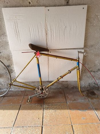 Tigra Custom Frameset 1980 Road & Gravel usato