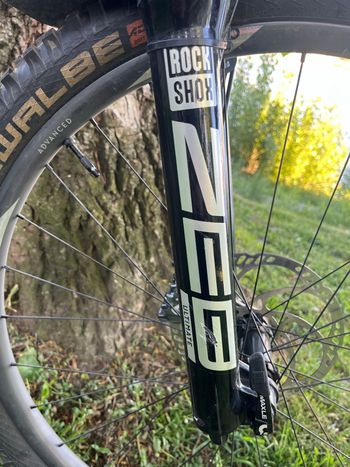 Brugt Propain Tyee CF 29, L 2022 Mountainbike — billede 11 af 16