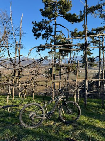 Tweedehands Trek Marlin+ 8 2024 2024 Mountainbike — afbeelding 2 van 4
