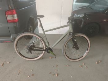 RIVERSIDE Trekkingrad 29 Zoll Touring 920 Herren Salbei 2025 2025 Urban & Touring d'occasion
