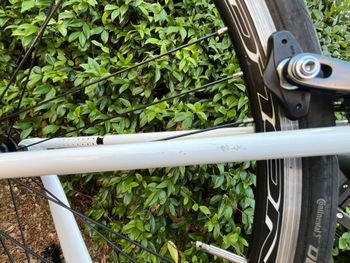 Origine Tuxedo Shimano Tiagra 2020 Road & Gravel usato, Bianco — immagine 5 di 10