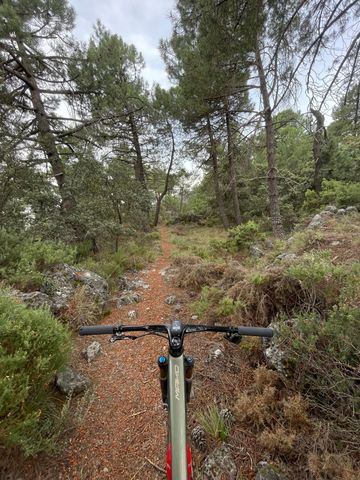 Tweedehands Berria MAKO 9 2024 2024 Mountainbike — afbeelding 2 van 4