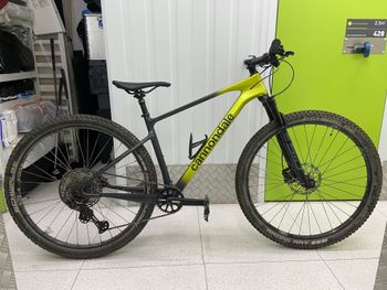 Used Cannondale HT CARBON 2023 Mountainbike, Green — image 5 of 10