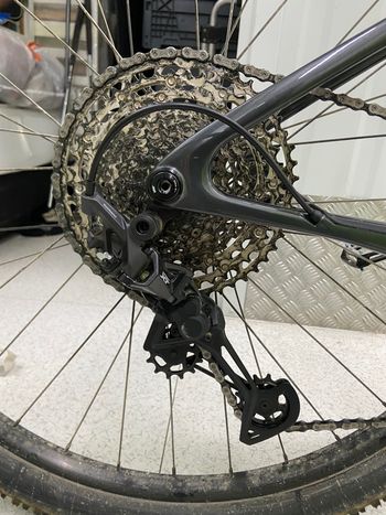Used Cannondale HT CARBON 2023 Mountainbike, Green — image 3 of 10
