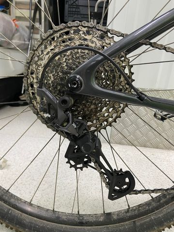 Used Cannondale HT CARBON 2023 Mountainbike, Green — image 3 of 10