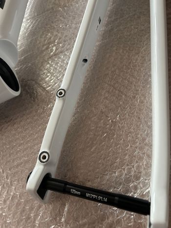 Used ICAN Custom Frameset 2026 Road & Gravel, White — image 15 of 19