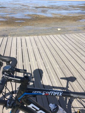 Used Focus Izalco Frameset 2012 Road & Gravel, Black — image 2 of 3
