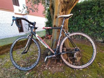 Gebrauchtes Merida Scultura 105 Flexy Stay 2010 Road & Gravel