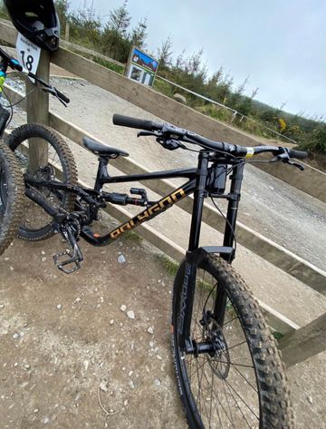 Used Polygon COLLOSUS DH7 2025 2025 Mountainbike, Black, 29 — image 3 of 12