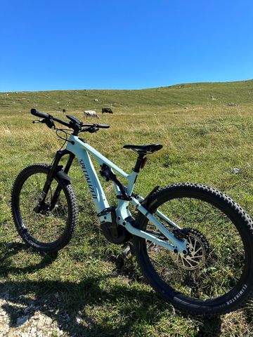 Tweedehands Specialized Turbo Levo Comp 2023 2023 Mountainbike — afbeelding 2 van 15
