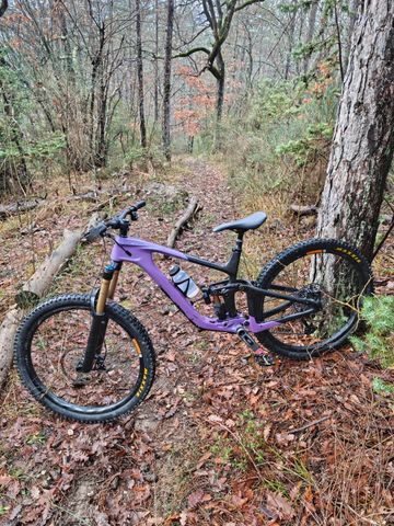 Brugt Giant Reign Advanced 1 2024 2024 Mountainbike — billede 2 af 2