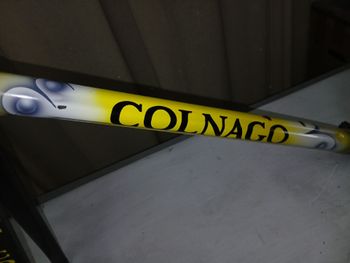 Used Colnago C40 Frameset 2001 Road & Gravel, White — image 11 of 12