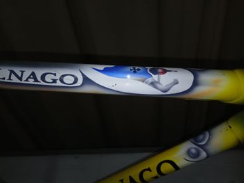 Used Colnago C40 Frameset 2001 Road & Gravel, White — image 7 of 12