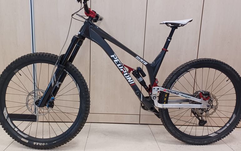 Brugt Pedroni Race Enduro Enduro XL 2024 Mountainbike — billede 2 af 5