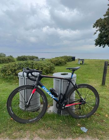 Giant Tcr advanced Shimano Dura Ace 2019 Road & Gravel d'occasion