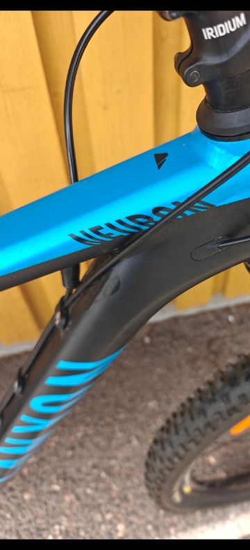 Brugt Canyon Neuron AL 6.0 WMN 2019 2019 Mountainbike — billede 10 af 12
