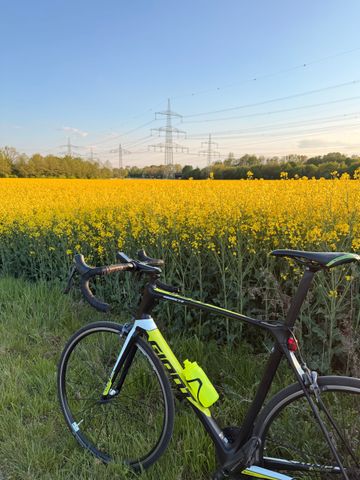 Used Giant TCR Advanced 1 2016 2016 Road & Gravel, Black — image 8 of 14