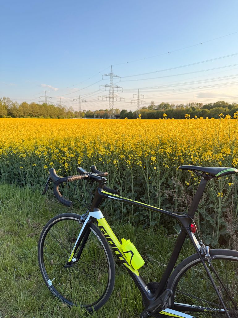 Gebrauchtes Giant TCR Advanced 1 2016 2016 Road & Gravel, Schwarz — Bild 8 von 11