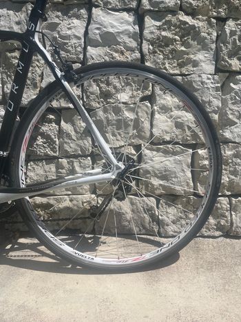 Brugt globulonero Ormuz 2020 Road & Gravel — billede 3 af 7