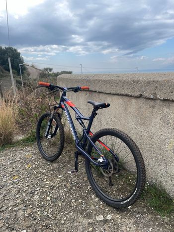 ROCKRIDER All mountain Shimano Altus 2024 Mountainbike usato, Blu — immagine 3 di 7